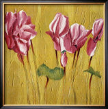 Buy Pink Cyclamens at AllPosters.com