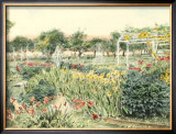Old Time Flower Gardens II
