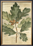 Buy Weathered Maple Leaves I at AllPosters.com