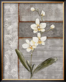 Buy Orchid Shimmer I at AllPosters.com