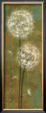 Buy Soft Breeze II at AllPosters.com