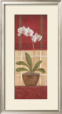 Window Wonders II Framed Art Print
