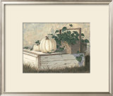 White Pumpkins Framed Art Print