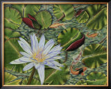 Buy Enchanting Lily at AllPosters.com