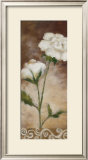 Buy Spring Splendor at AllPosters.com