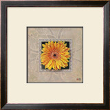Buy Flower IV at AllPosters.com