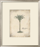 Buy Fibres Palm at AllPosters.com