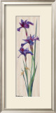 Buy Iris Panel II at AllPosters.com