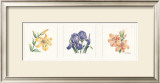 Buy Floral Spray II at AllPosters.com