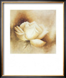 White Rose I
