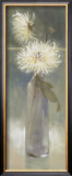 White Spider Mums II