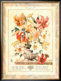 Buy Lily at AllPosters.com