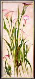 Buy Lilies at AllPosters.com