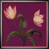 Buy Moon Shadows II at AllPosters.com