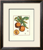 Buy Teton de Venus at AllPosters.com