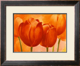 Buy Peach Tulips at AllPosters.com