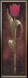 Buy Mystic Tulip Dark Red at AllPosters.com