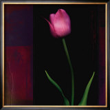 Buy Red Tulip II at AllPosters.com