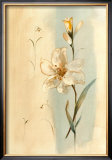 Buy Antique Flowers I at AllPosters.com