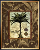 Buy Date Palm at AllPosters.com