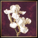 Buy Double Iris at AllPosters.com