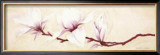 Buy Magnolias II at AllPosters.com