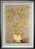 Buy Jarrones Plantas II at AllPosters.com