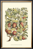 Buy Apple Tree Branch at AllPosters.com