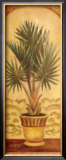 Tuscan Palm II