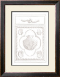 Buy Shell Panel at AllPosters.com