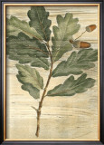 Buy Weathered Maple Leaves II at AllPosters.com