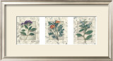 Buy Healing Herbs, Panel I at AllPosters.com