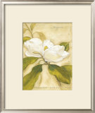 Buy Magnolia at AllPosters.com