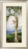 Buy Kohala Palm at AllPosters.com