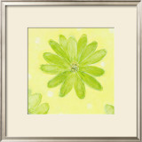 Buy Flower Patch at AllPosters.com