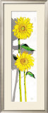Girasoles I