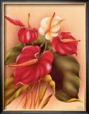 Buy Red and White Anthuriums at AllPosters.com