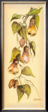Buy Flores Colgantes II at AllPosters.com