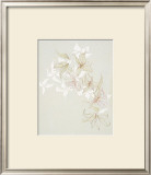 Buy Untitled at AllPosters.com
