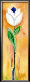 Buy Double White and Blue Tulip at AllPosters.com