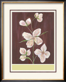 Buy Clematis I at AllPosters.com