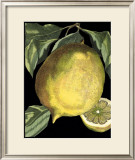 Fragrant Citrus I