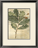 Buy Weathered Maple Leaves II at AllPosters.com