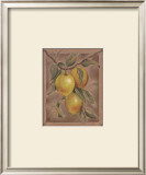 Buy Citron Fructus at AllPosters.com