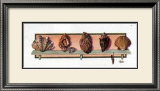 Buy Collection of Shells II at AllPosters.com