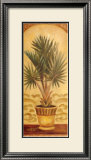 Tuscan Palm II