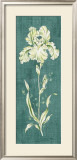 Buy Teal Iris at AllPosters.com