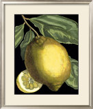 Fragrant Citrus II