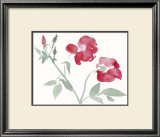 Buy Roses at AllPosters.com