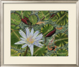 Buy Enchanting Lily at AllPosters.com
